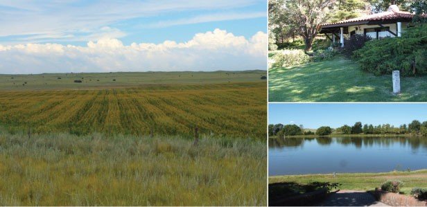 Oferta Destacada Prov. de La Pampa – 21.000 Has.