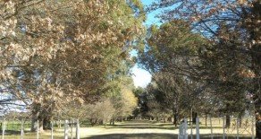 Venado Tuerto, Prov. de Santa Fé – 385 has