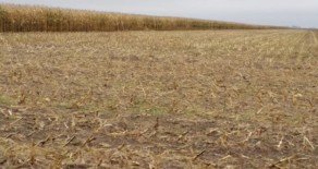 Gral. Villegas, Prov. de Bs As – 750 has